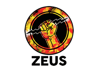 IEEE Zeus